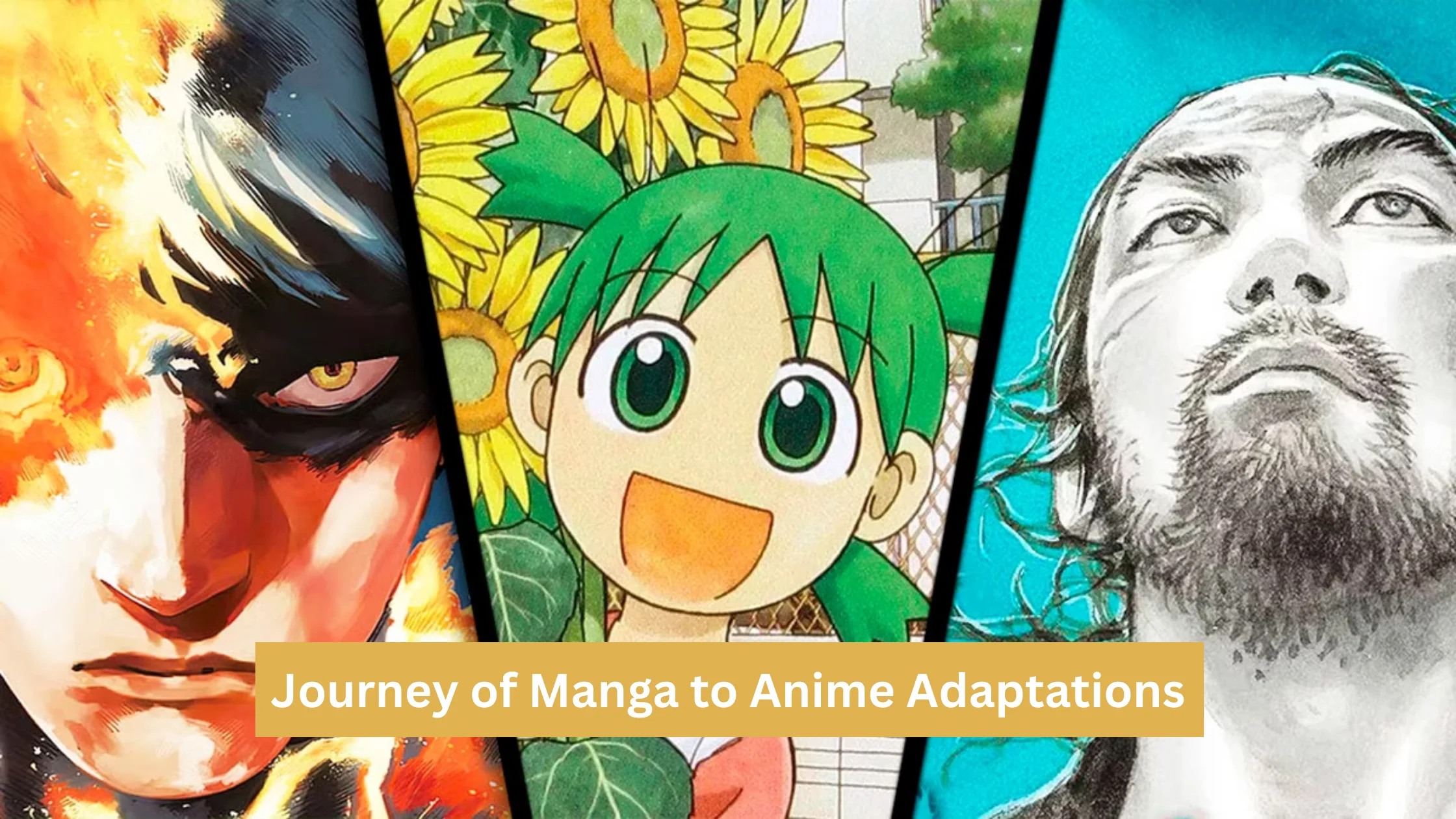 Journey of Manga to Anime