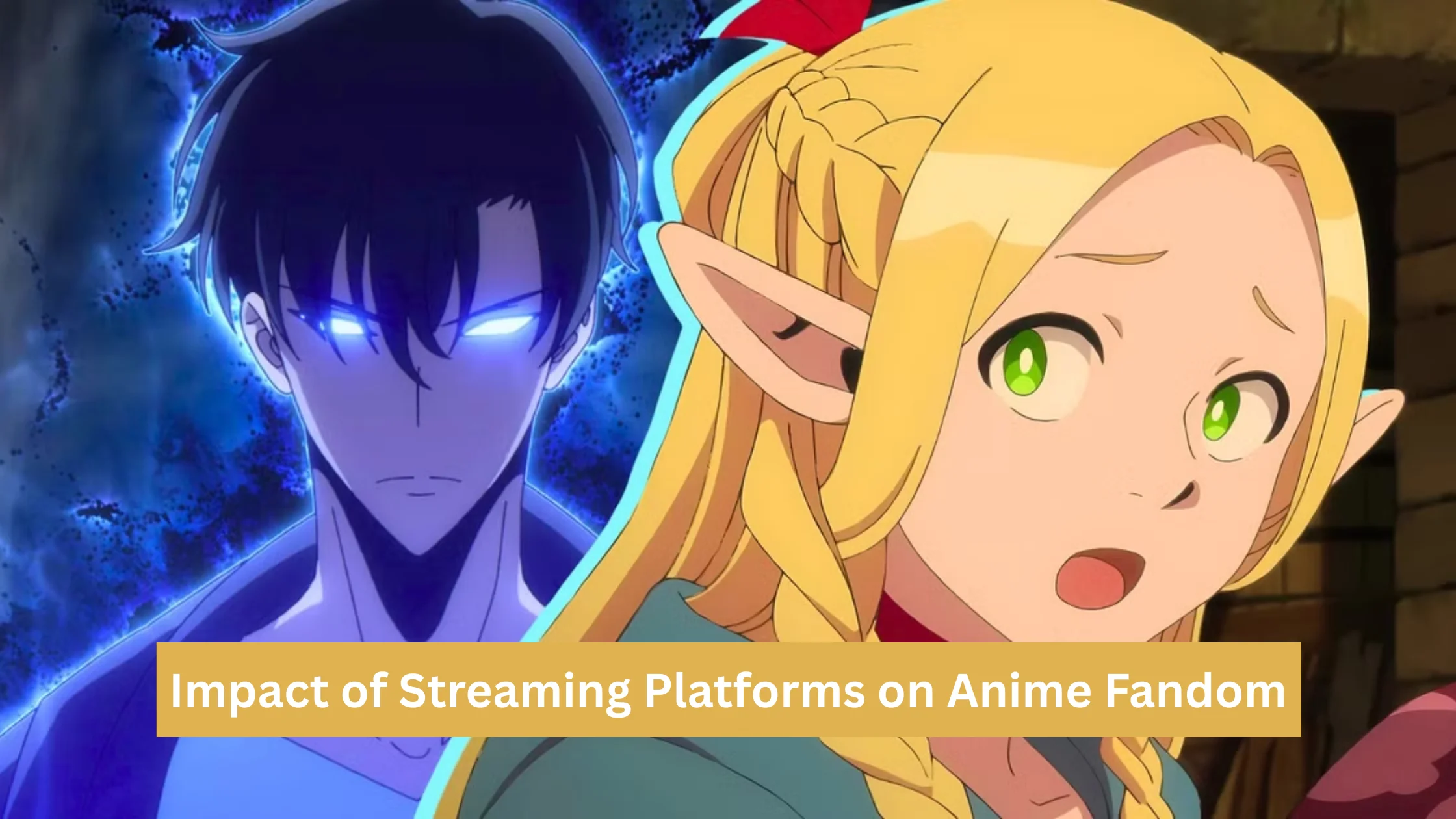 Streaming Platforms on Anime Fandom