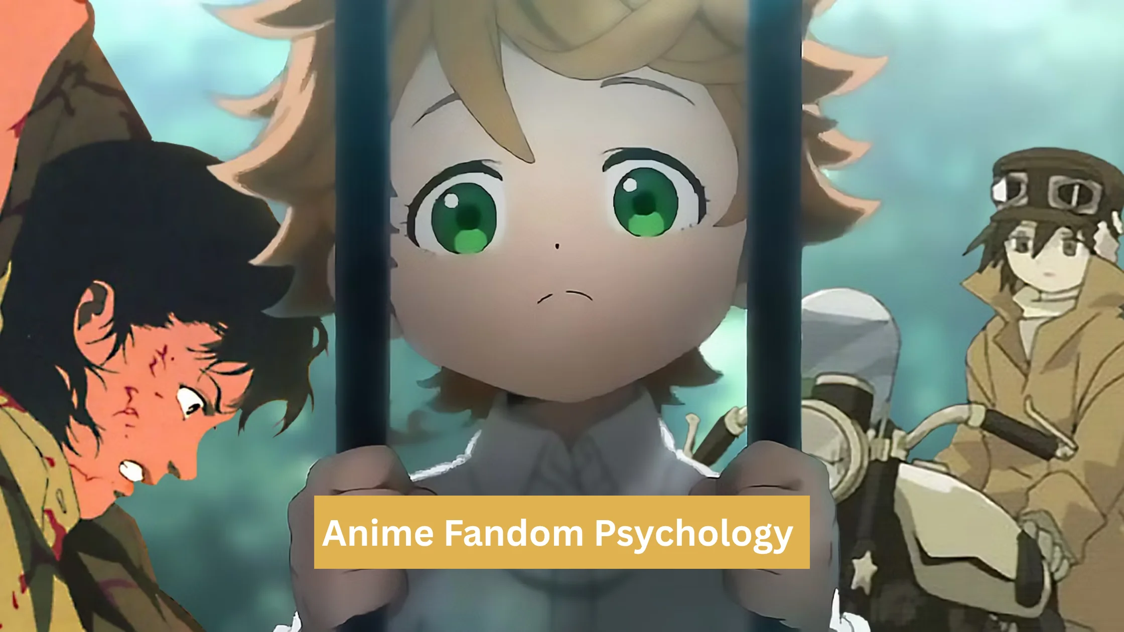 Anime Fandom Psychology