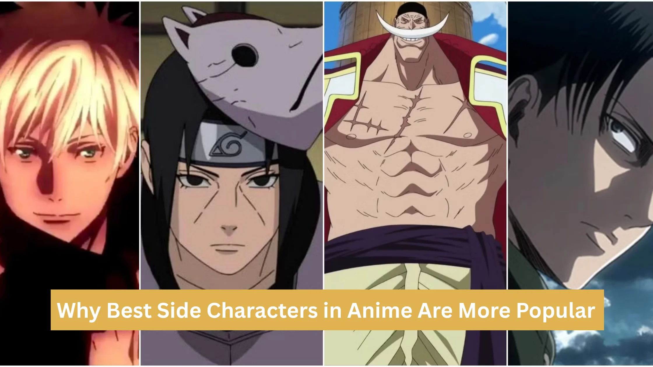 Why Best Side Characters in Anime Are More Popular
