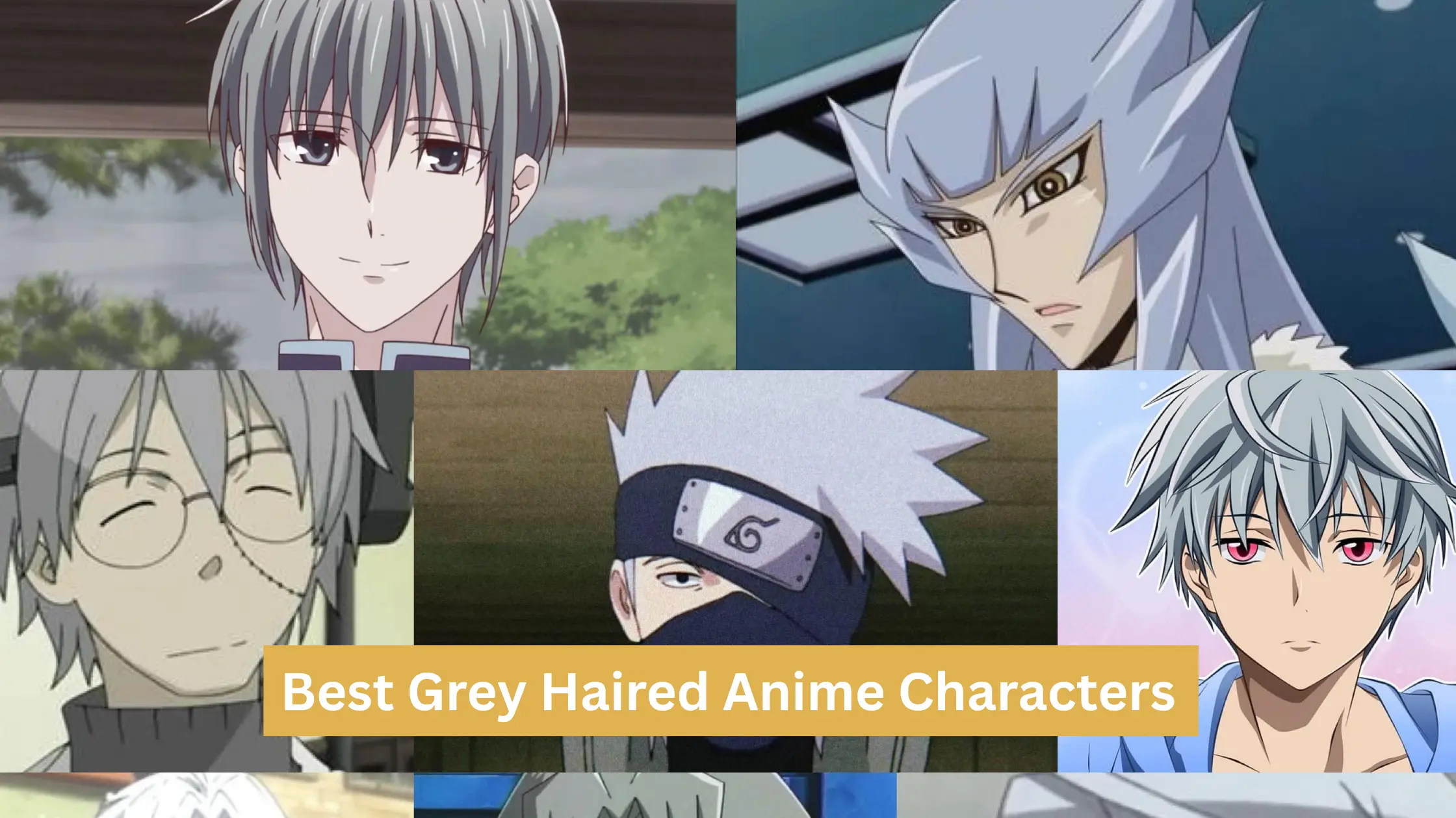Best Grey Haired Anime Characters